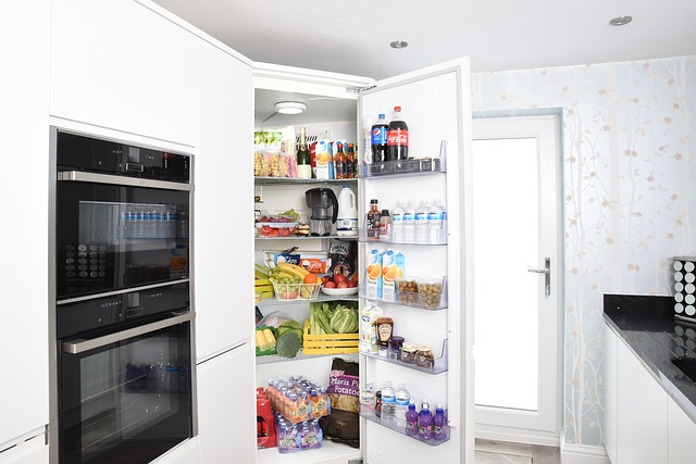 Découvrez l’utilité d’une armoire réfrigérée